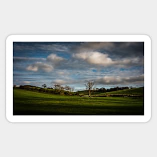 Wylam Rural Landscape Scene Sticker